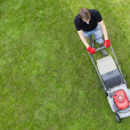 An overhead view of a man mowing a green lawn.